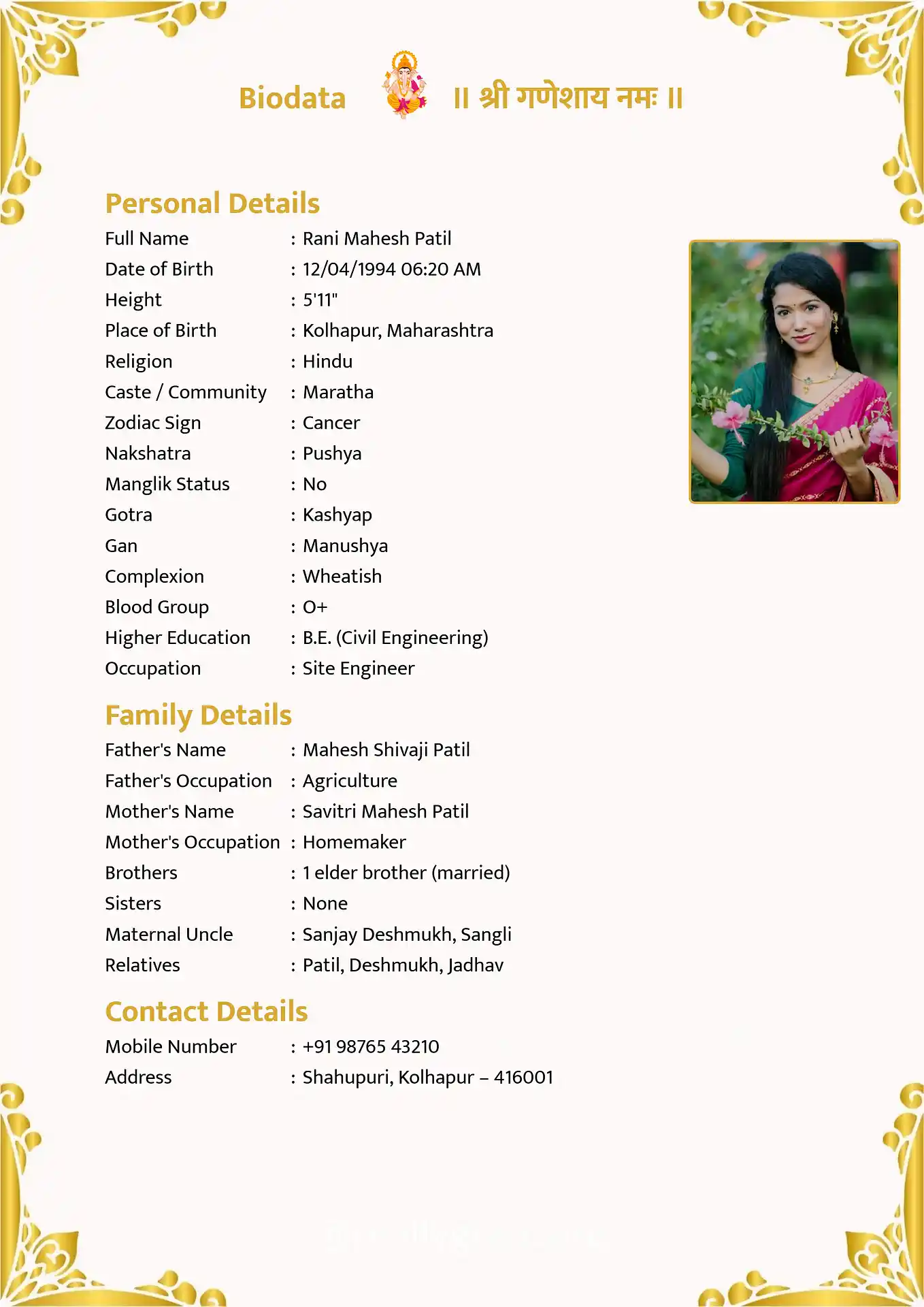 Classic 7 biodata template